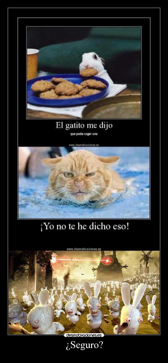 ¿Seguro? - 