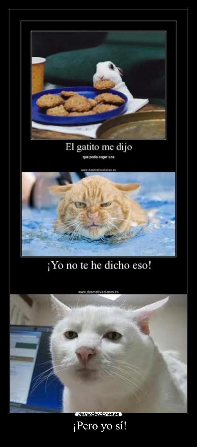 carteles walt_k gato desmotivaciones cadena desmotivaciones