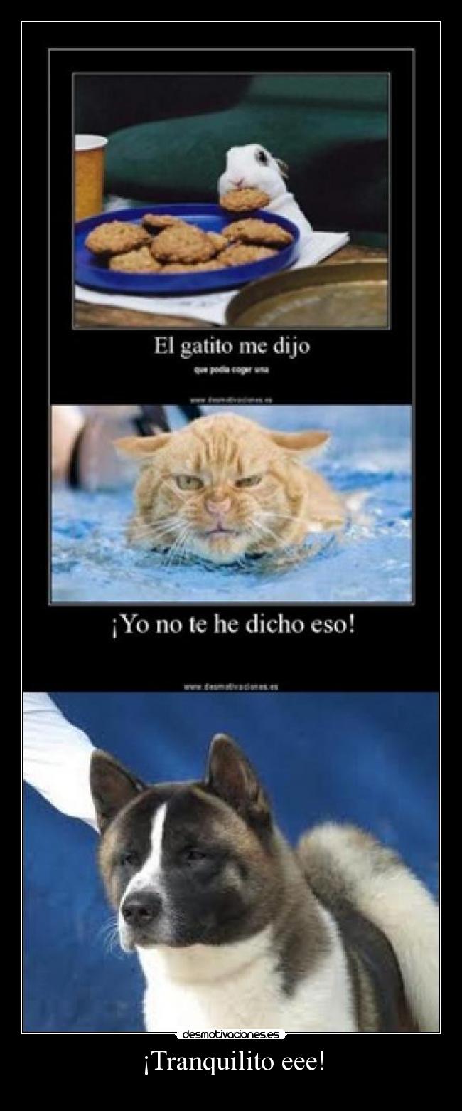 ¡Tranquilito eee! - 