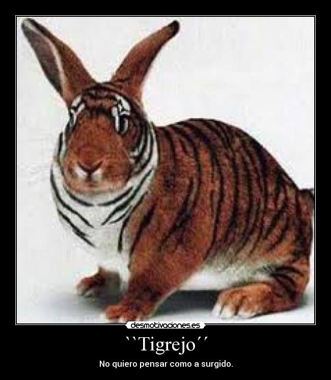 ``Tigrejo´´ - No quiero pensar como a surgido.