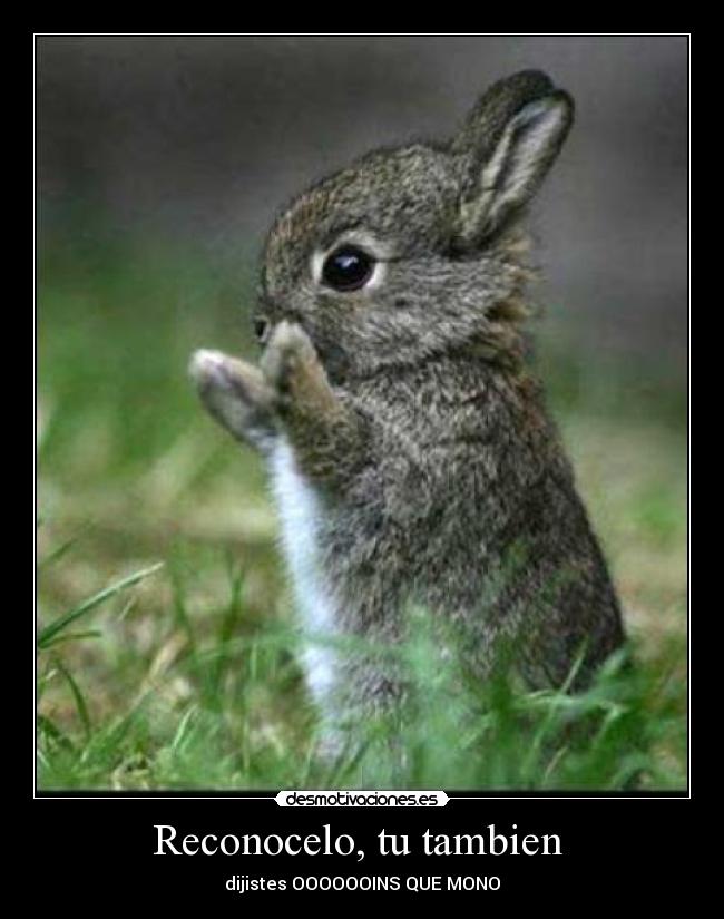 Reconocelo, tu tambien  - 