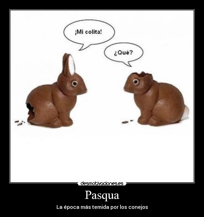 Pasqua - La época más temida por los conejos