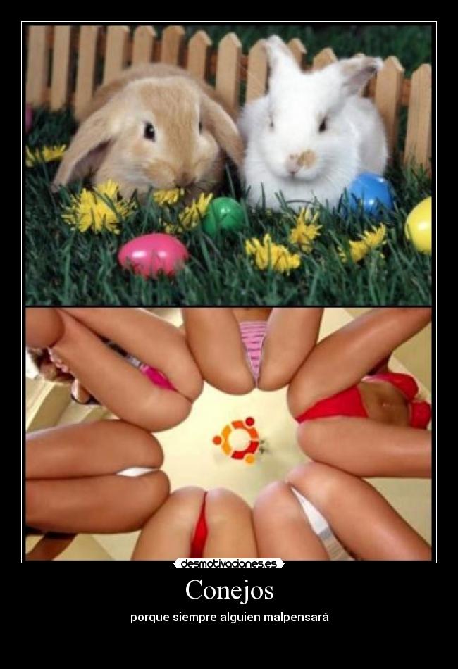 carteles sexo desmotivaciones