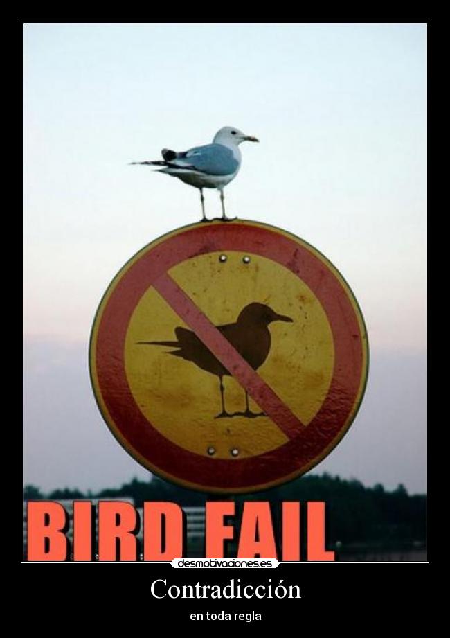 Contradicción - en toda regla