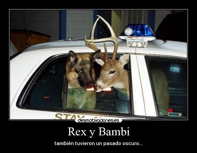 Rex y Bambi - también tuvieron un pasado oscuro...