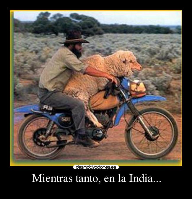 Mientras tanto, en la India... -