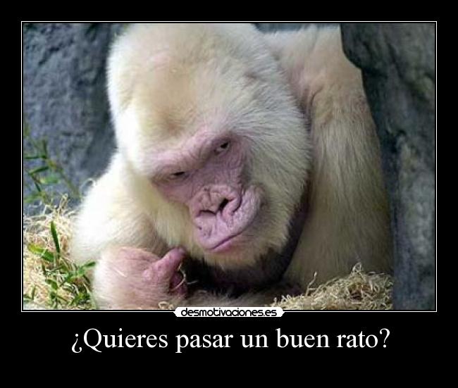 ¿Quieres pasar un buen rato? - 