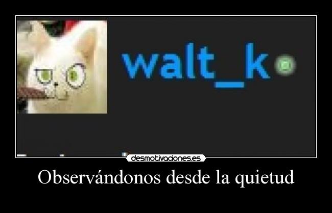 Observándonos desde la quietud -