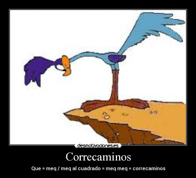 Correcaminos - 