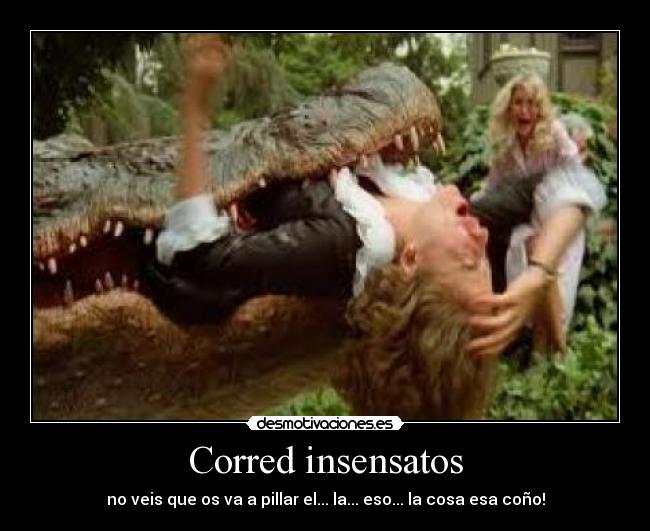 Corred insensatos - no veis que os va a pillar el... la... eso... la cosa esa coño!