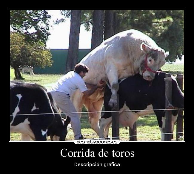 Corrida de toros -