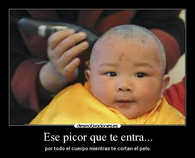 Ese picor que te entra... - por todo el cuerpo mientras te cortan el pelo.