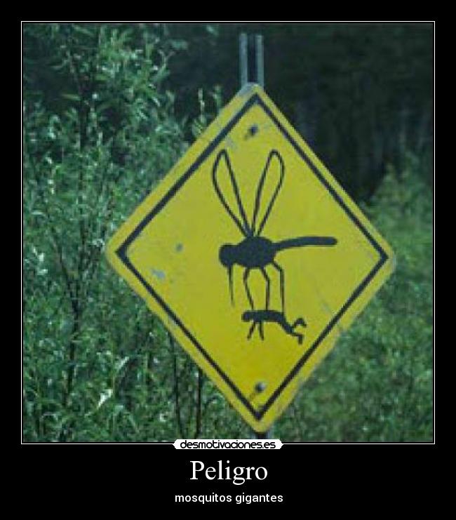 Peligro -