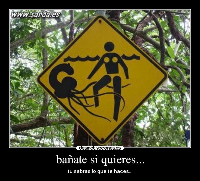 bañate si quieres... - tu sabras lo que te haces...