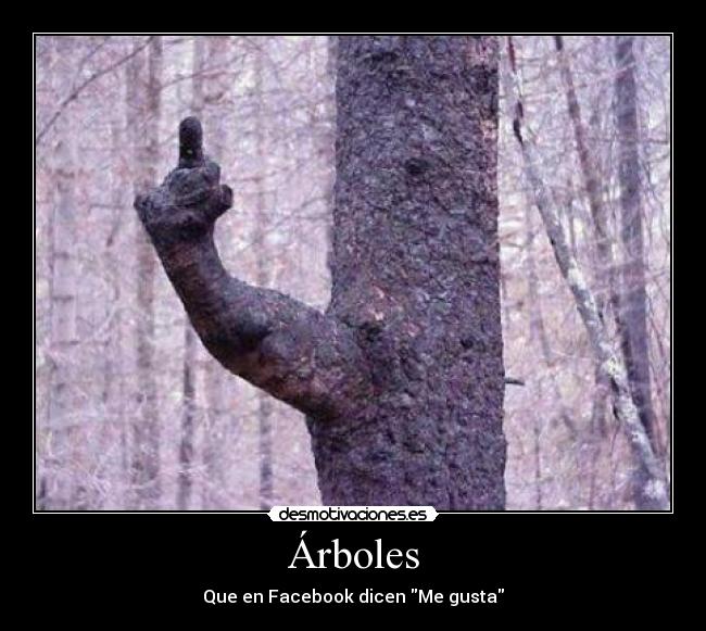 Árboles - Que en Facebook dicen Me gusta