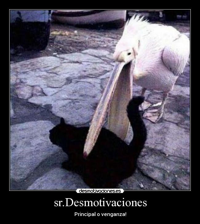 sr.Desmotivaciones - Principal o venganza!