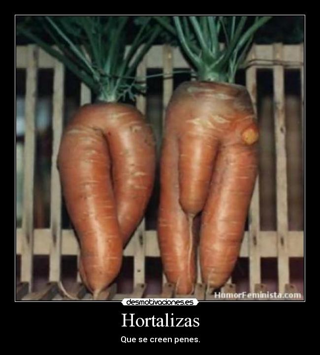 Hortalizas - 