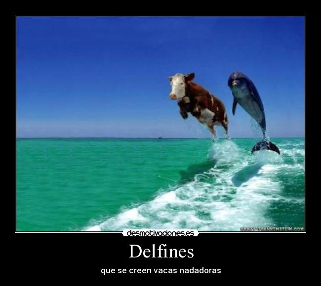 Delfines -