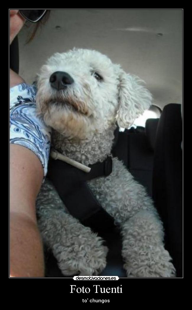 Foto Tuenti - to chungos