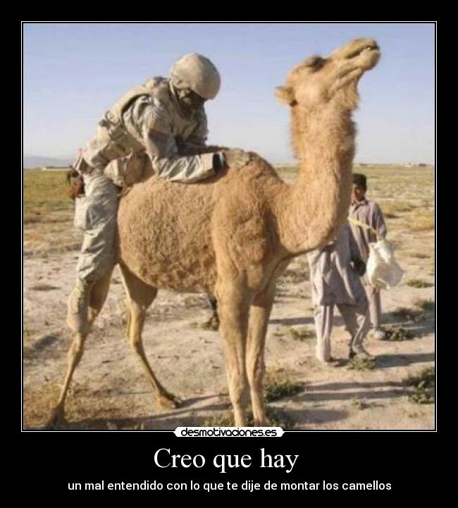 carteles montar camellos ejercito sahara bien guerra rob desmotivaciones
