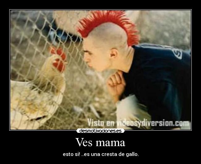Ves mama - esto si! ..es una cresta de gallo.
