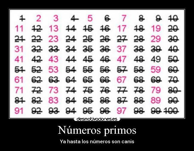 Números primos - 