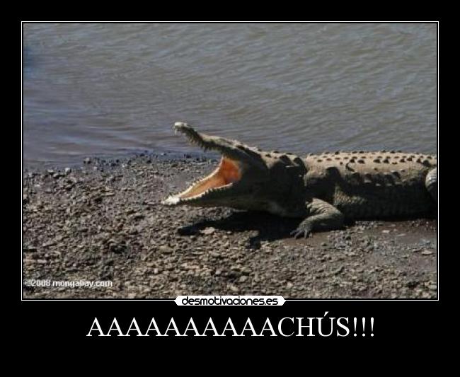 AAAAAAAAAACHÚS!!! - 