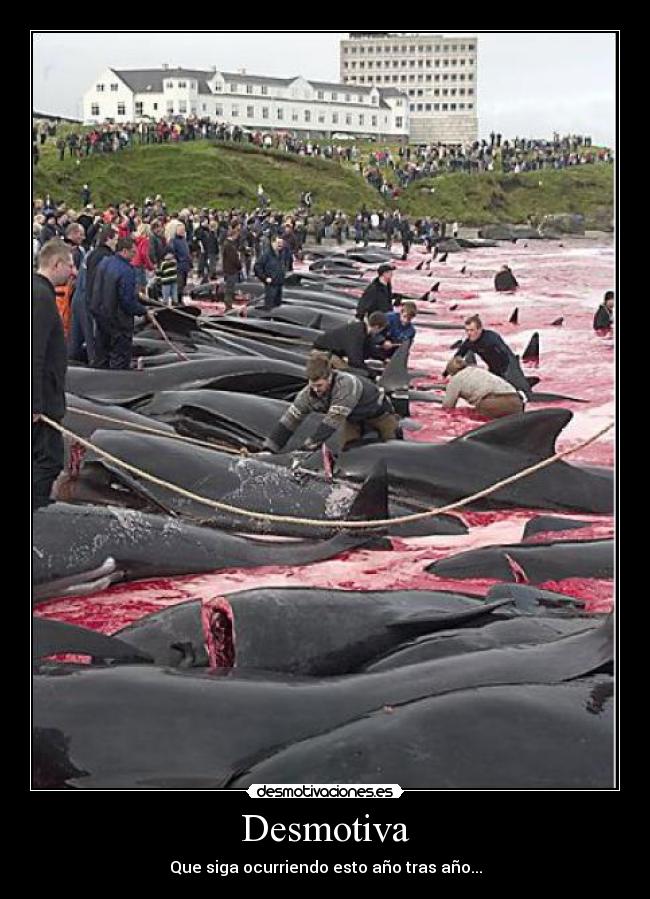 Desmotiva - Que siga ocurriendo esto año tras año...