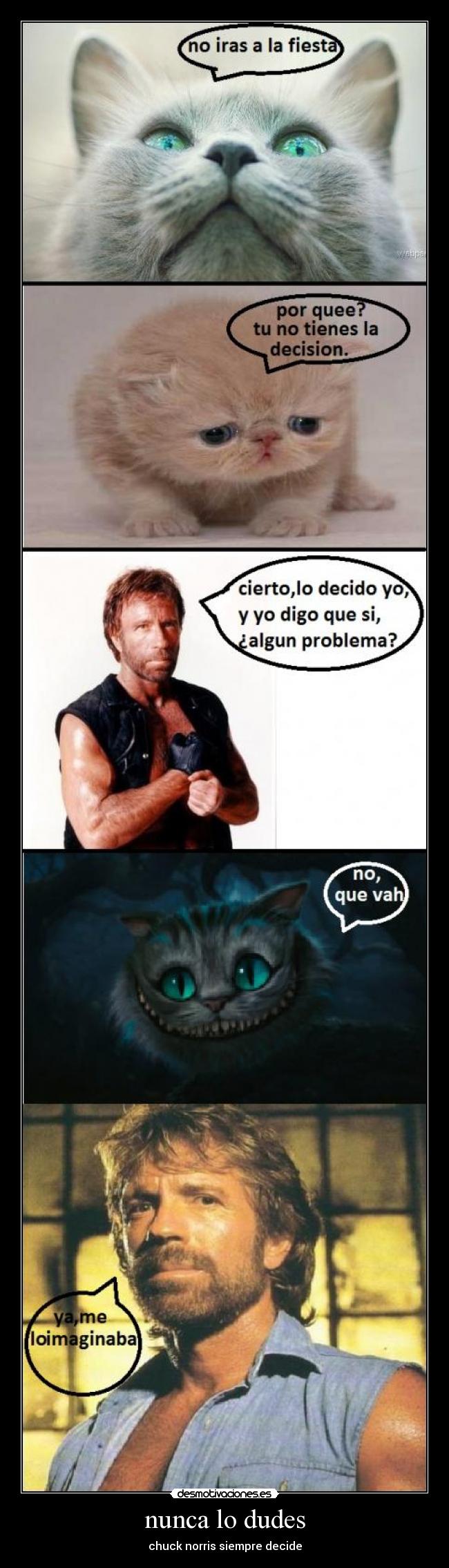 nunca lo dudes - chuck norris siempre decide