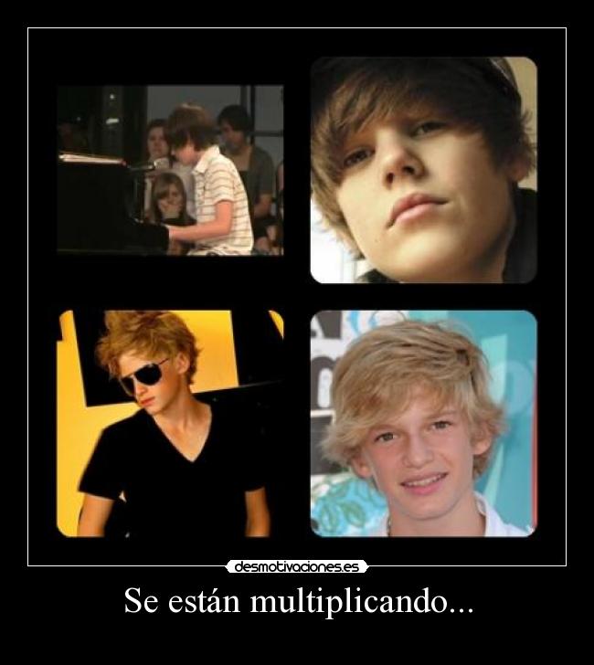 Se están multiplicando... -