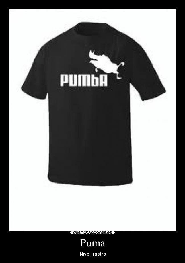 Puma -