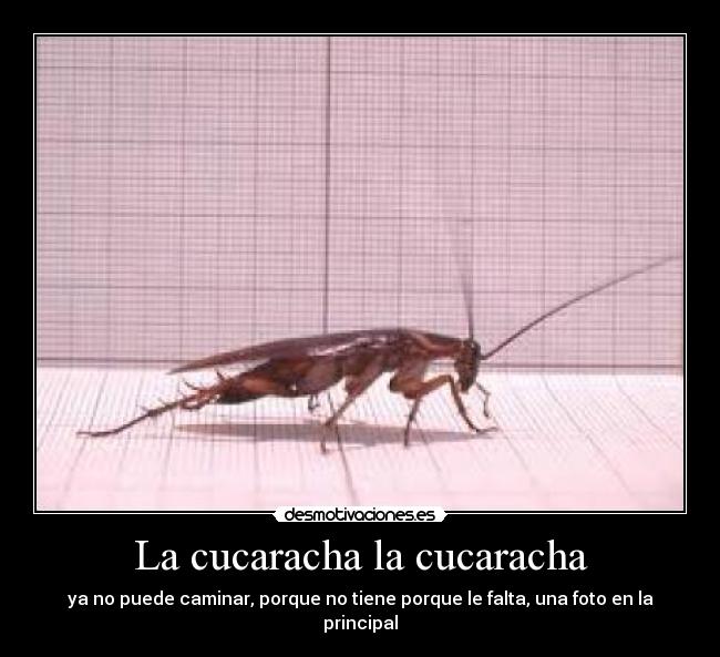 La cucaracha la cucaracha - ya no puede caminar, porque no tiene porque le falta, una foto en la principal