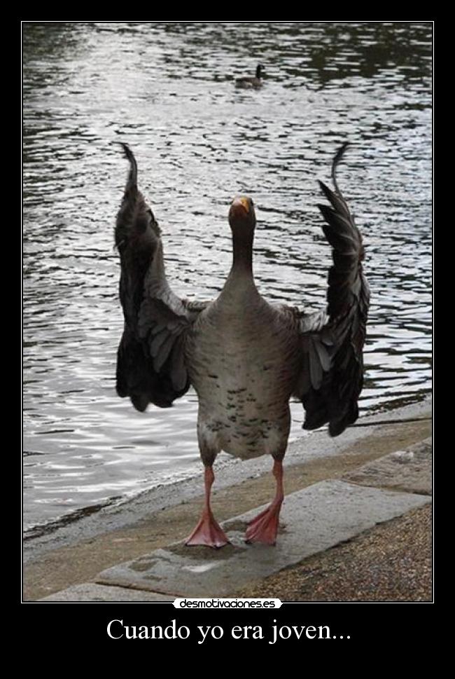 carteles desmotivaciones