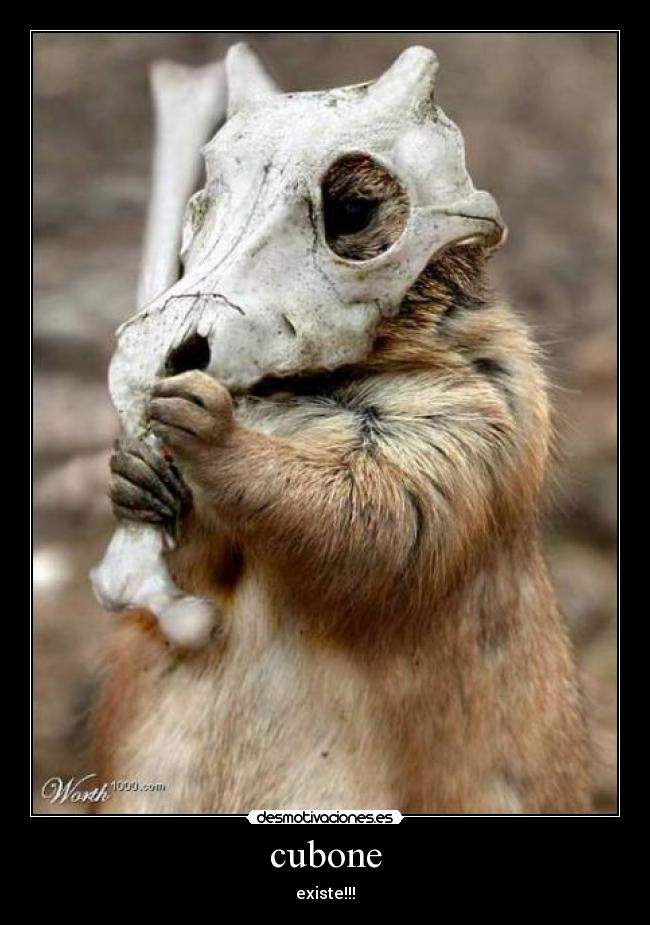 cubone - existe!!!