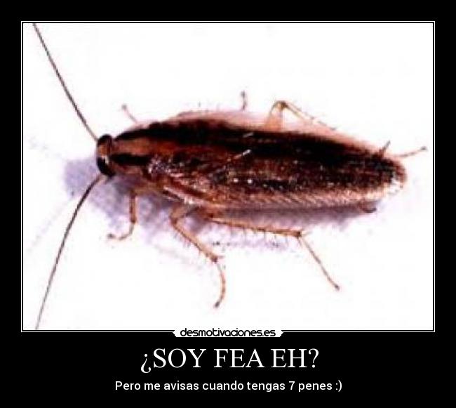¿SOY FEA EH? - Pero me avisas cuando tengas 7 penes :)
