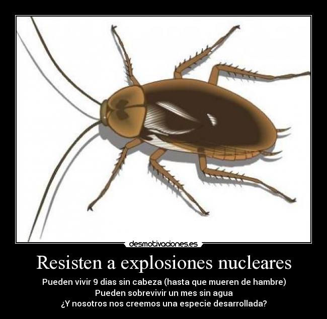 Resisten a explosiones nucleares -