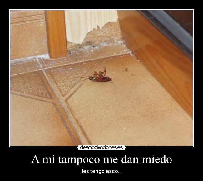 carteles miedo cucarachas asco miedo desmotivaciones