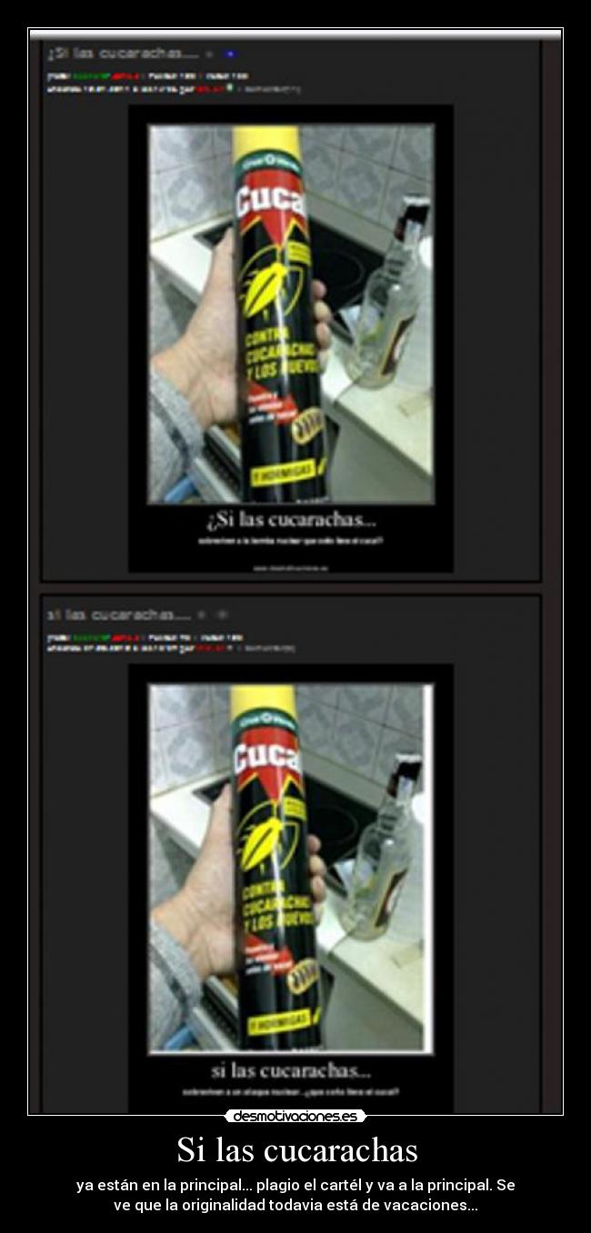 Si las cucarachas - 