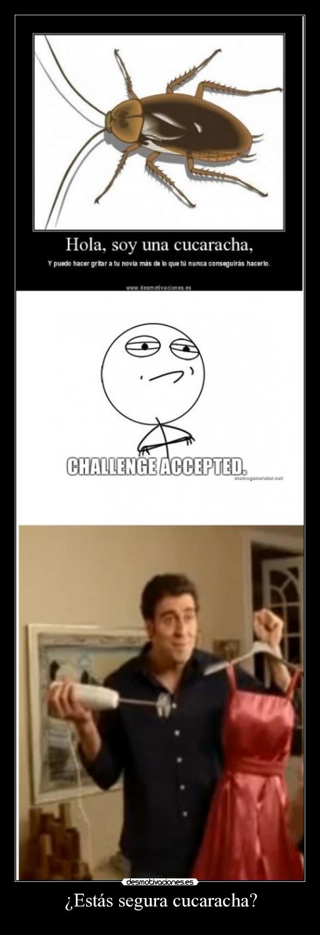 ¿Estás segura cucaracha? -