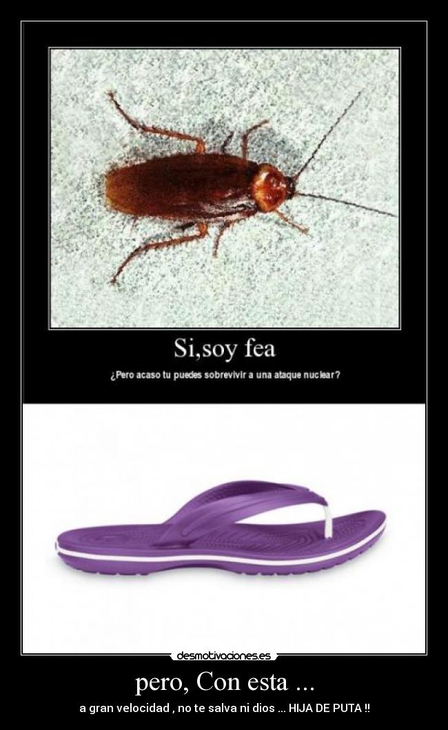 pero, Con esta ... - 