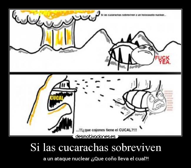 carteles decimo tercero cartel desmotivaciones