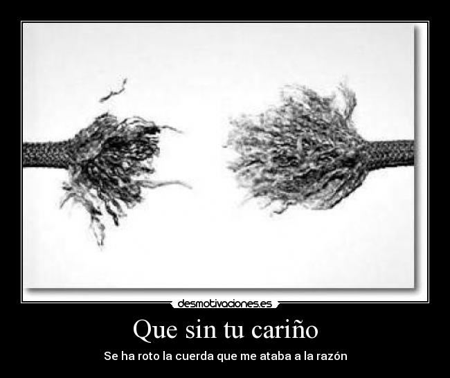 carteles que sin carino desmotivaciones