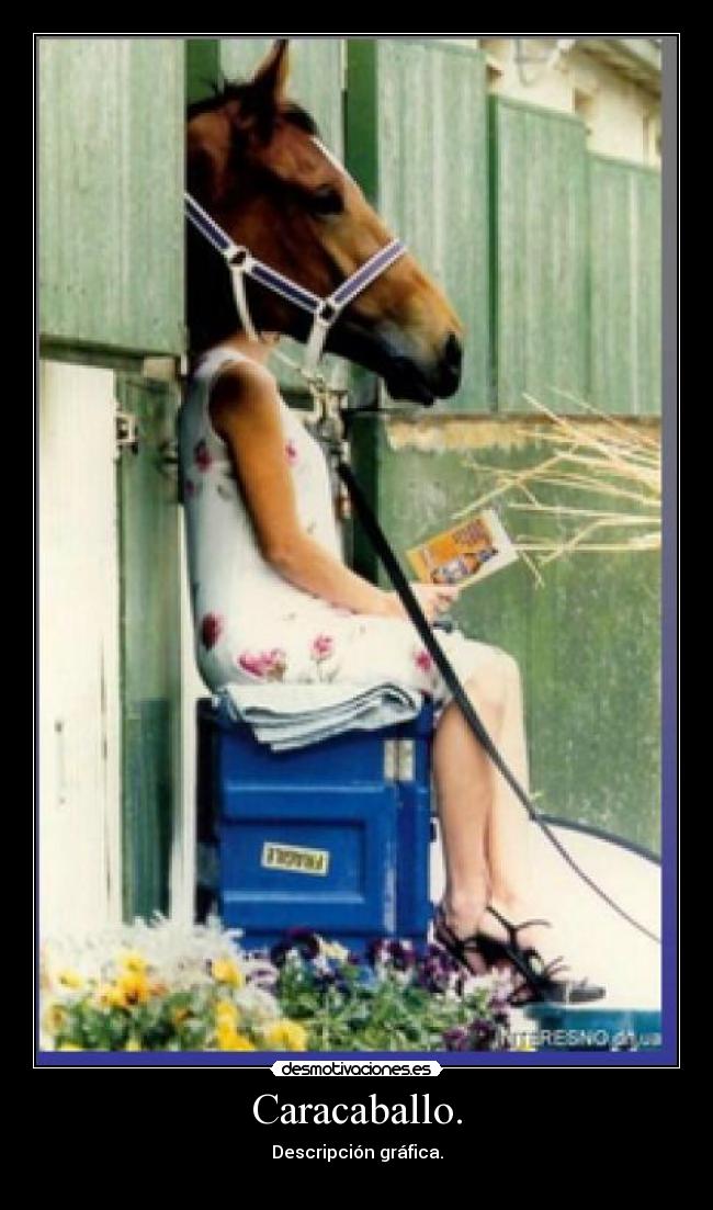 Caracaballo. -