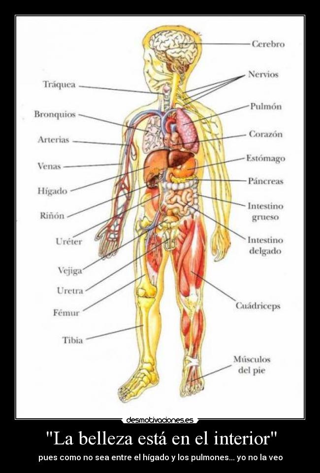 La belleza está en el interior -
