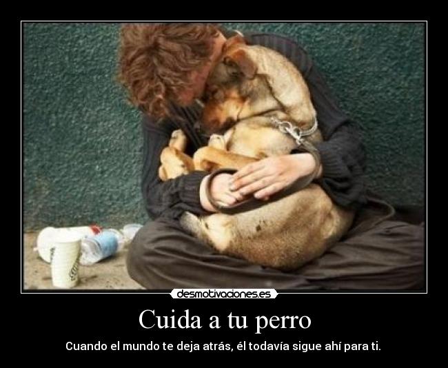 Cuida a tu perro - Cuando el mundo te deja atrás, él todavía sigue ahí para ti. 