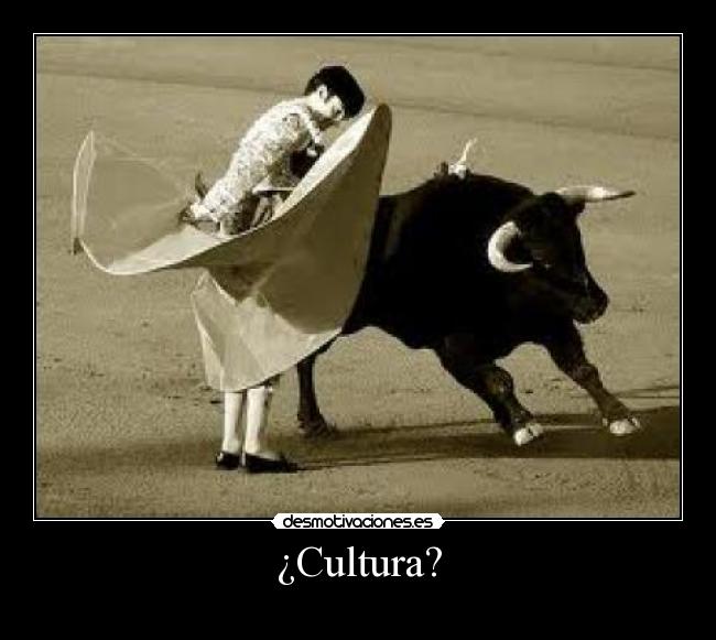 ¿Cultura? - 