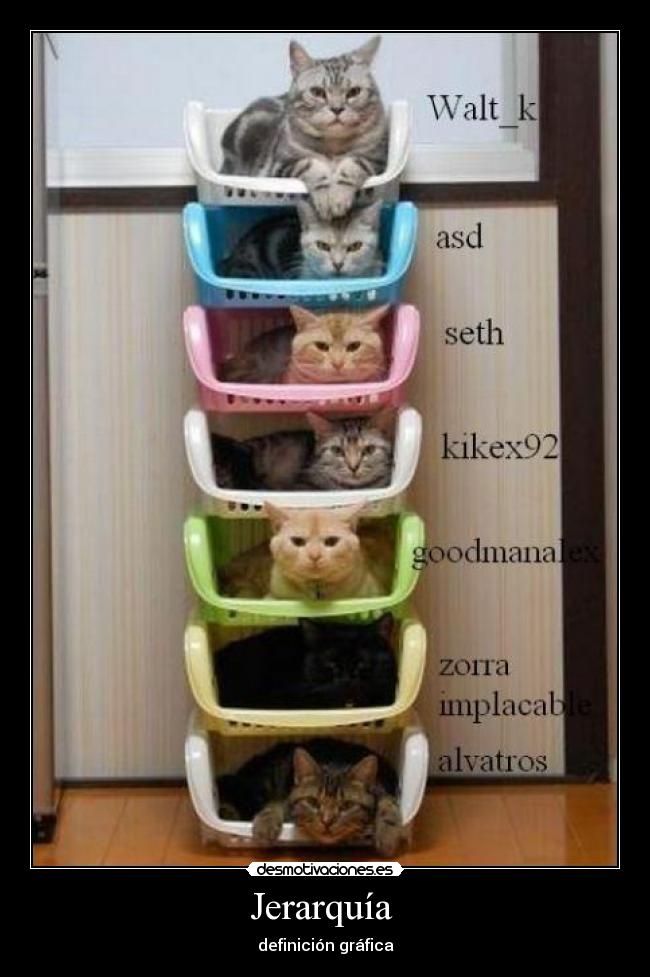 carteles jerarquia desmotivaciones