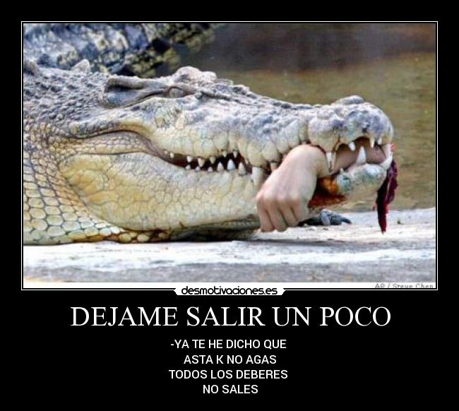 DEJAME SALIR UN POCO - -YA TE HE DICHO QUE
ASTA K NO AGAS
TODOS LOS DEBERES
NO SALES