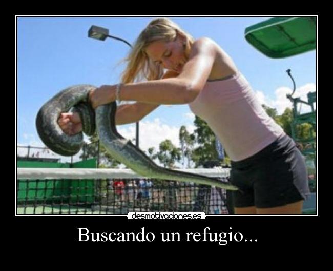 Buscando un refugio... -