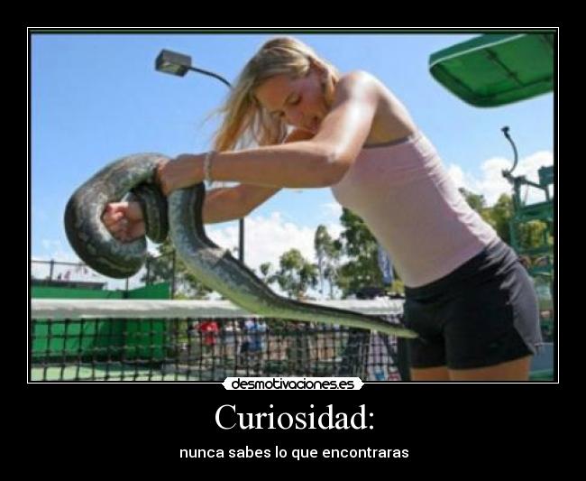 Curiosidad: -